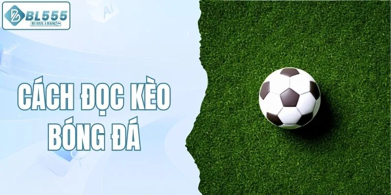 đọc kèo bóng đá chuẩn xác