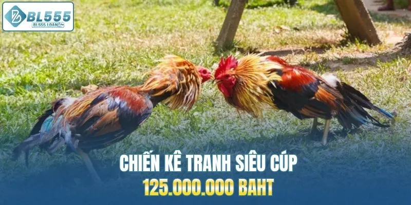 chiến kê tranh siêu cúp 