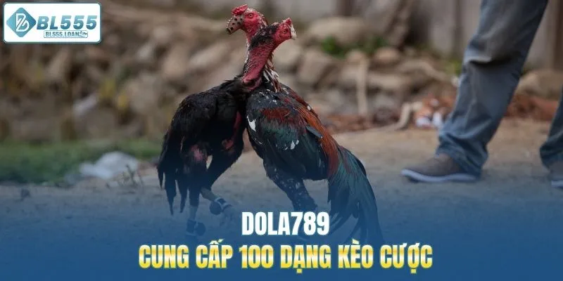 dola789 nhà cung cấp mới