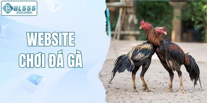 chơi đá gà uy tín nhất